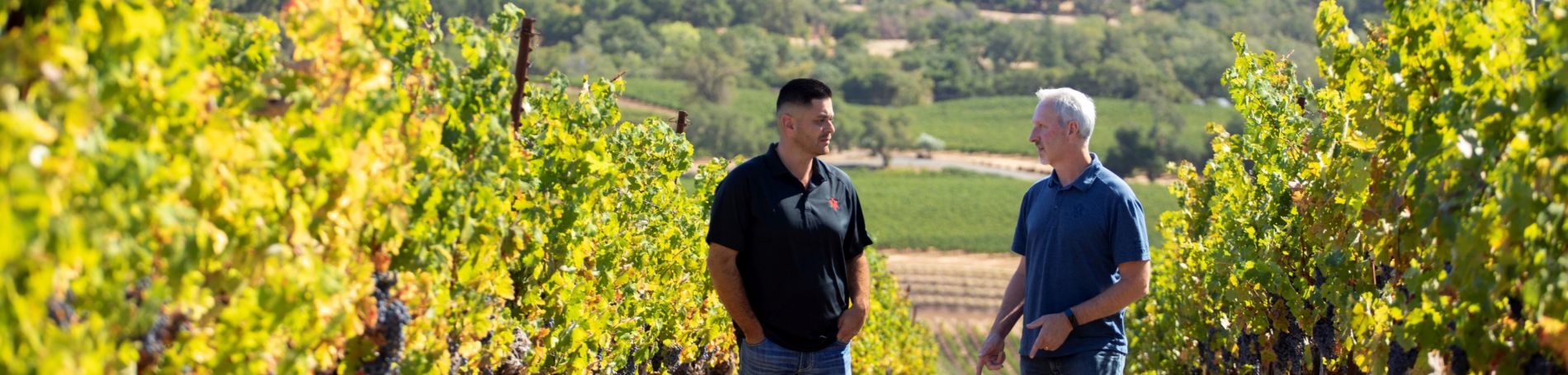 Vineyard Manger Junior Macias with winemaker Kevin Hall talking about grapevines and walking through AVV's hillside vineyards
