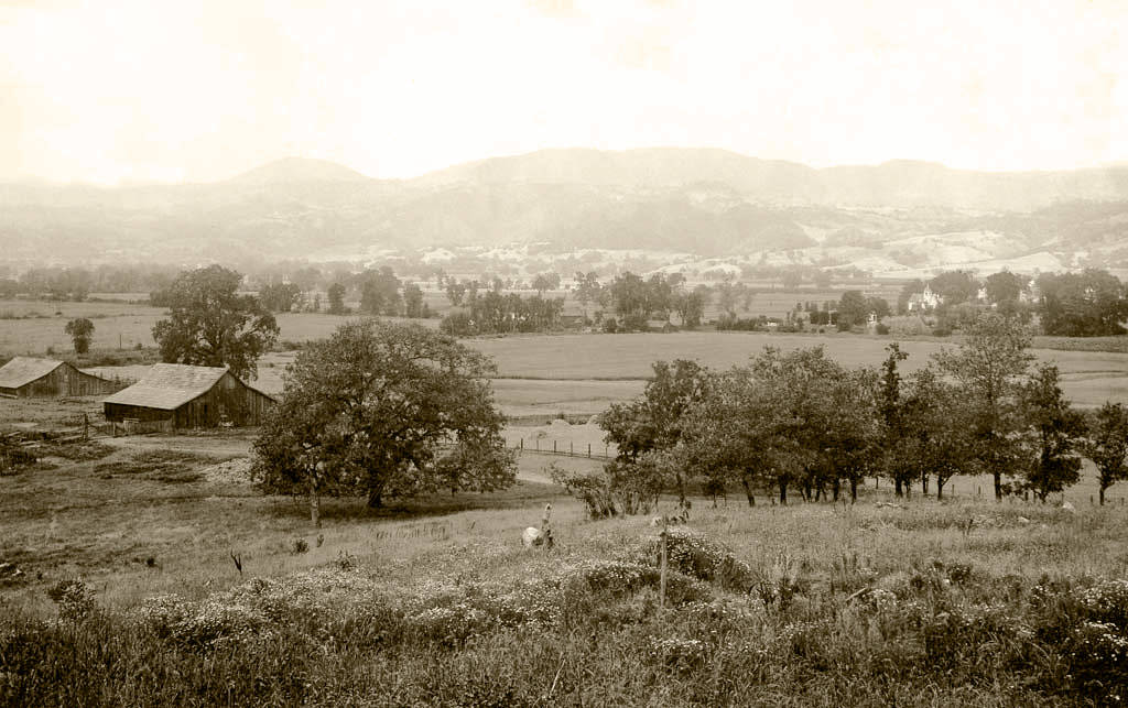 Alexander Valley 1905