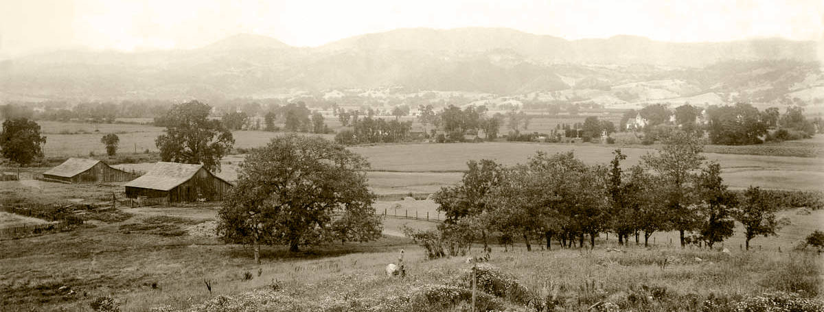 Alexander Valley 1905