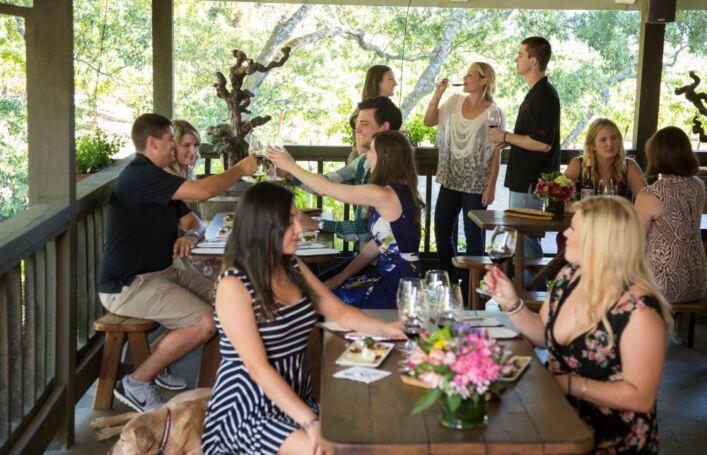 AVV visitors enjoy our wines surrounded by our working winery & vineyards.